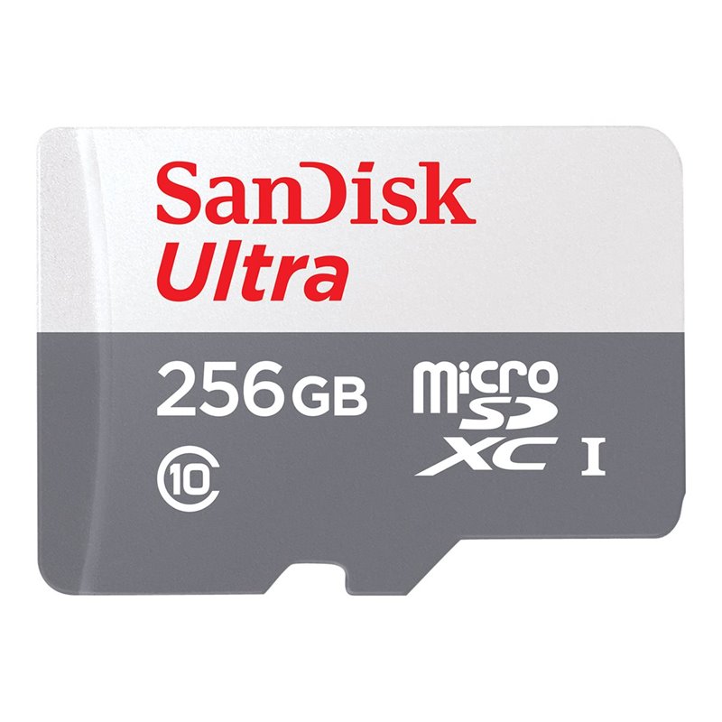 SanDisk Ultra Lite microSDXC Ad. 256GB 100MB/s SDSQUNR-256G-GN6TA från buy2say.com! Anbefalede produkter | Elektronik online but