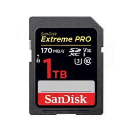 SanDisk SDXC Extreme PRO 1TB SDSDXXY-1T00-GN4IN 256GB | buy2say.com SanDisk