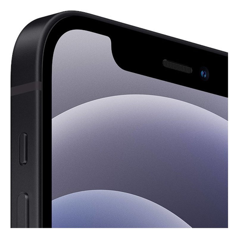 Apple iPhone 12 64GB Black fra buy2say.com! Anbefalede produkter | Elektronik online butik