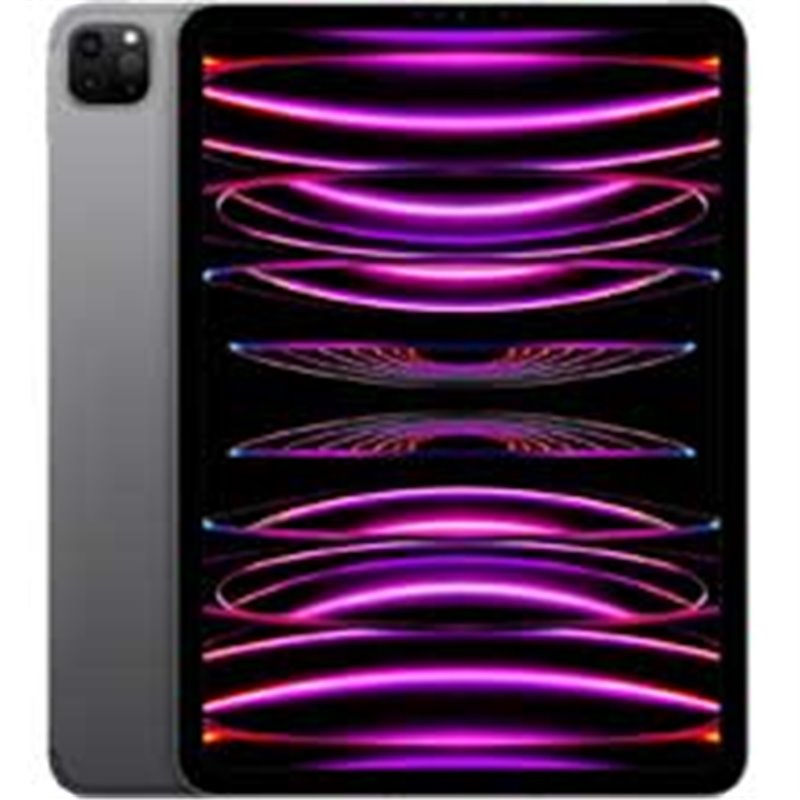 Apple iPad Pro 11" 256GB only WiFi space gray 2022 EU from buy2say.com! Buy and say your opinion! Recommend the product!