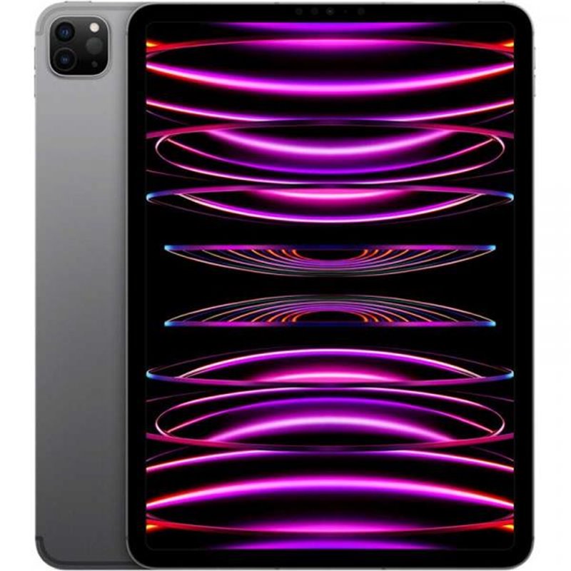 Apple iPad Pro 11 inch 256GB 4th Gen. (2022) WIFI space grey DE from buy2say.com! Buy and say your opinion! Recommend the produc