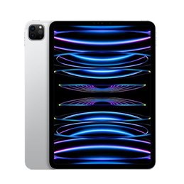Ipad Pro 11 4gen Wf 256gb Silver from buy2say.com! Buy and say your opinion! Recommend the product!