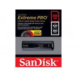 SanDisk USB-Flash Drive 256GB Extreme PRO USB3.1 retail SDCZ880-256G-G46 от buy2say.com!  Препоръчани продукти | Онлайн магазин 