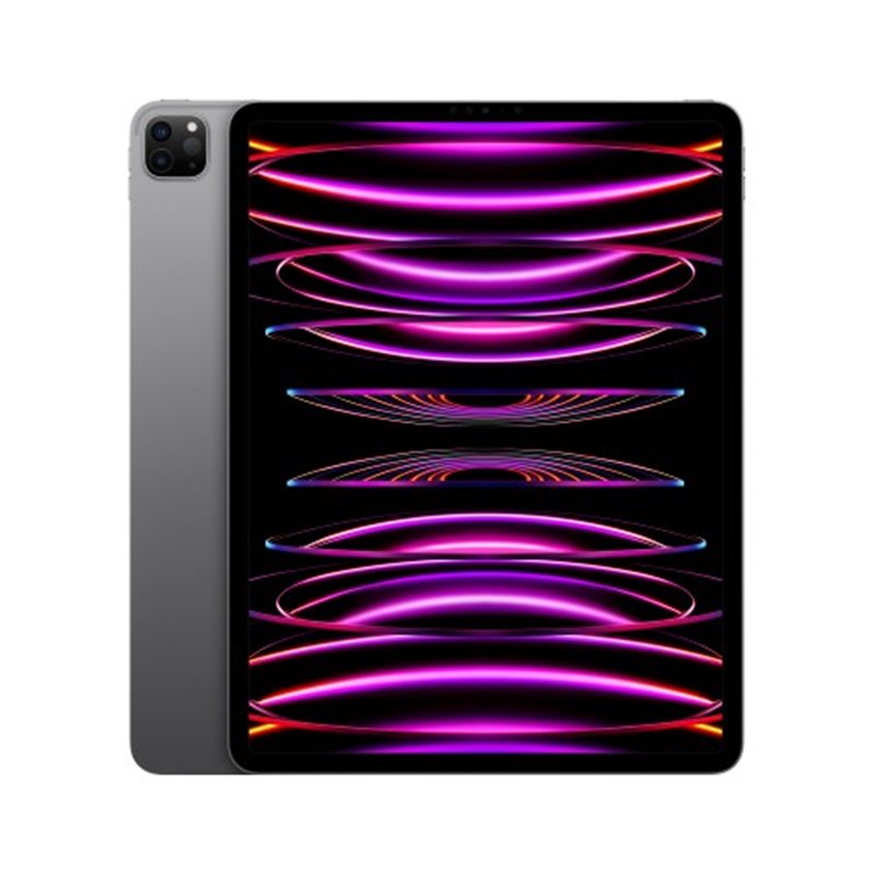 Apple Ipad Pro 6th Generation (2022) Mnxr3ty/A 256gb Wifi 12.9" Space Gray von buy2say.com! Empfohlene Produkte | Elektronik-Onl