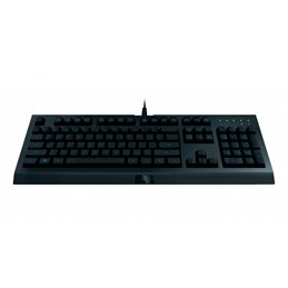 Razer Cynosa Lite Keyboard US-Layout RZ03-02740600-R3M1 von buy2say.com! Empfohlene Produkte | Elektronik-Online-Shop