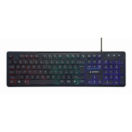 Gembird Rainbow Beleuchtete Multimedia-Tastatur US Layout KB-UML-02 from buy2say.com! Buy and say your opinion! Recommend the pr