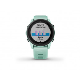 Garmin Forerunner 745 Mint colour 010-02445-11 alkaen buy2say.com! Suositeltavat tuotteet | Elektroniikan verkkokauppa