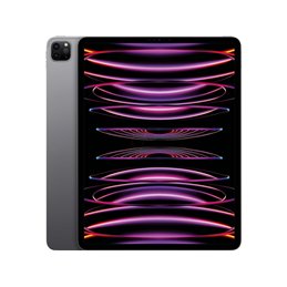 Apple iPad Pro 11 WiFi 2TB Space Gray 2022 MNXM3FD/A från buy2say.com! Anbefalede produkter | Elektronik online butik