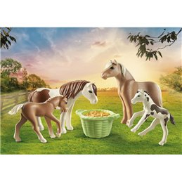Playmobil Country - 2 Island Ponys with Fohlen (71000) от buy2say.com!  Препоръчани продукти | Онлайн магазин за електроника