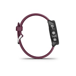 Garmin Forerunner 245 Merlot 010-02120-11 from buy2say.com! Buy and say your opinion! Recommend the product!