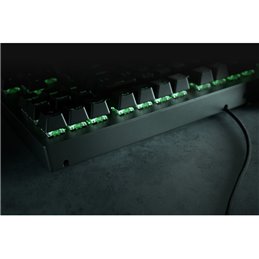 Razer Blackwidow V3 TKL Green Switch US RZ03-03490100-R3M1 from buy2say.com! Buy and say your opinion! Recommend the product!